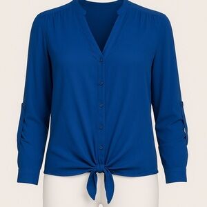 Carole Little Women’s Blouse Size XL
Vibrant royal blue button-down blouse